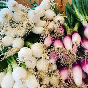 Oignons blancs biologiques