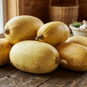 Courge biologique spaghetti