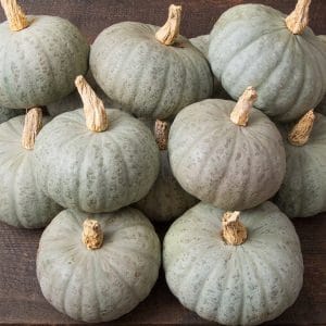 Courge biologique Kabocha