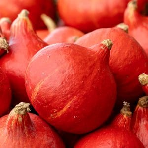 Courge biologique red Kuri